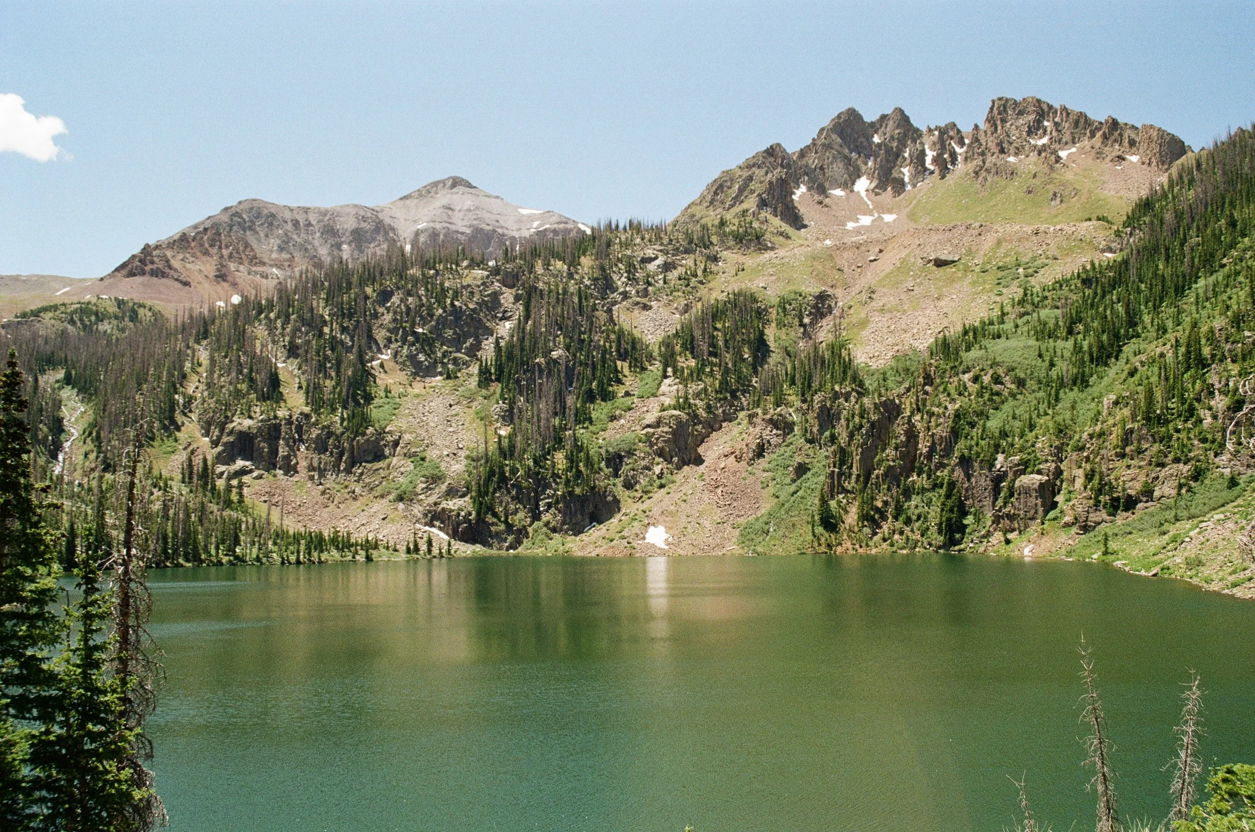 31A88DFD-FFE2-4160-A654-C4EB4522C79D.jpeg