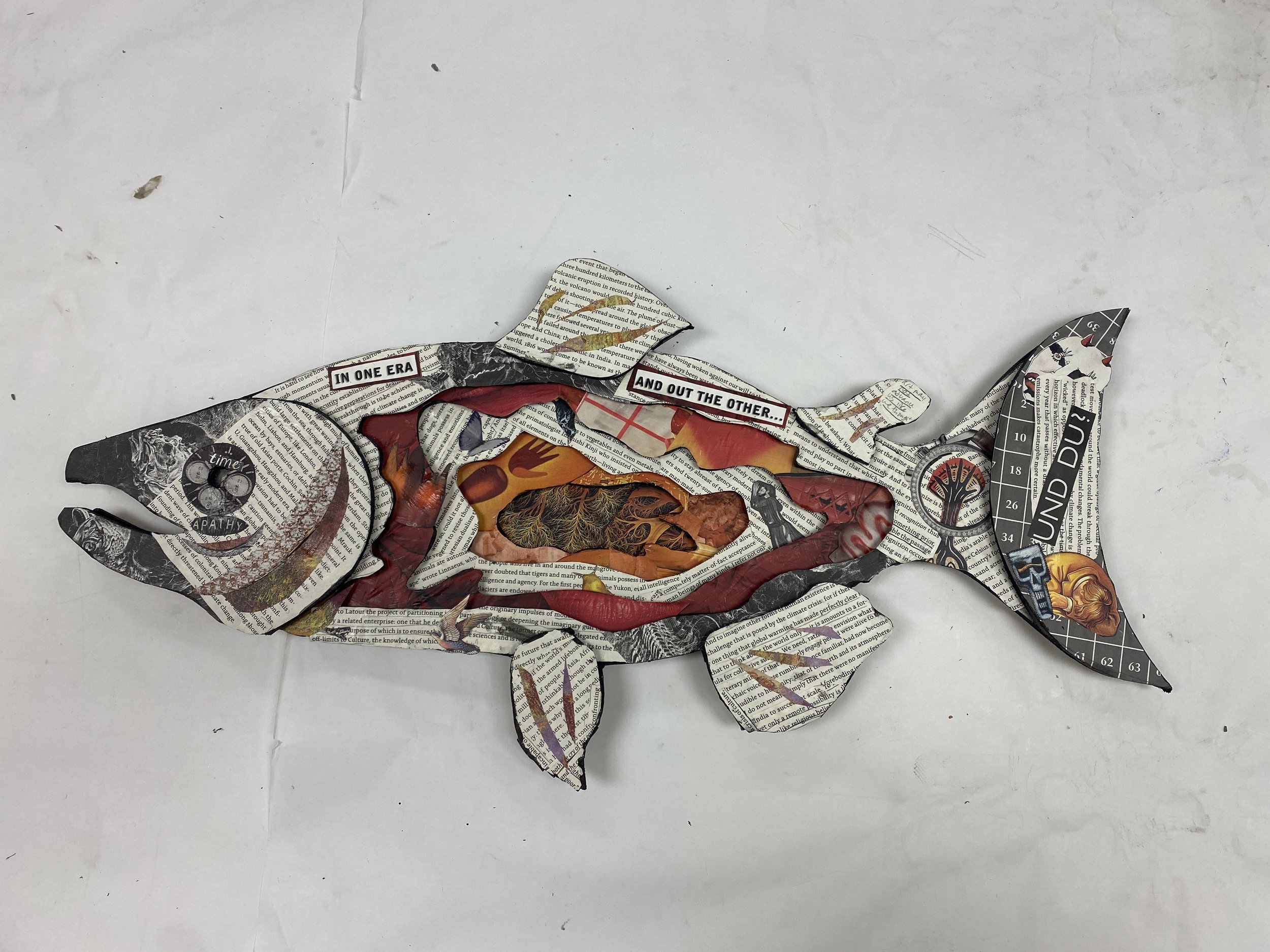 Salmon (The Great Derangement)