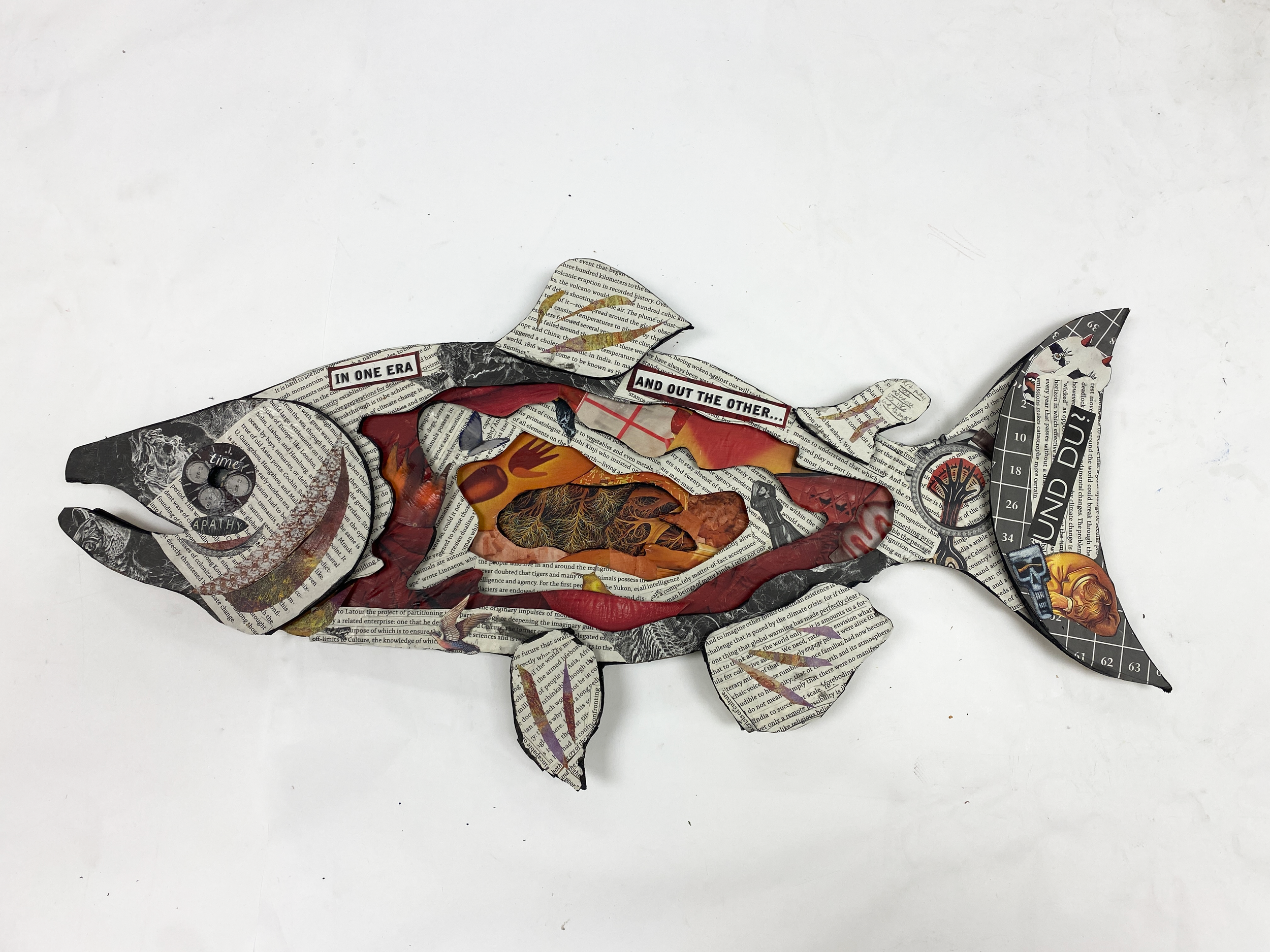 Salmon (The Great Derangement)