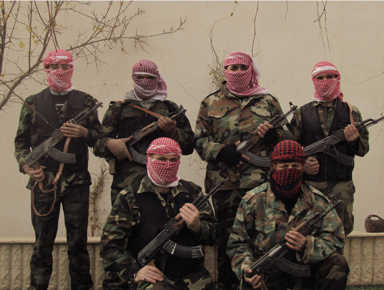 Syria 2011 / 2012.png