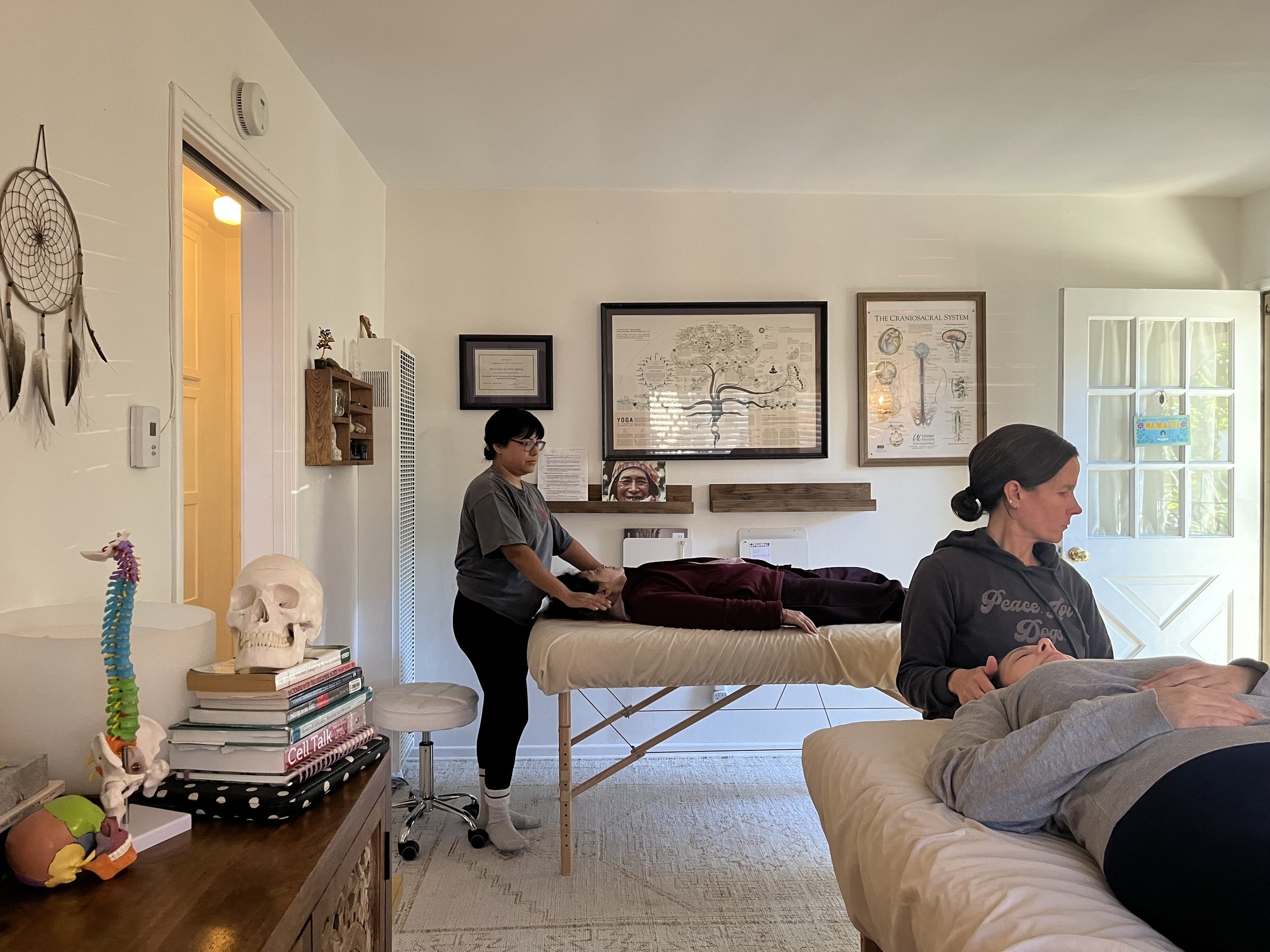 A massage therapy session with two practitioners working on clients in a room decorated with anatomical posters, a dreamcatcher, and a skull model, with natural light coming through a door with a decorative sign.