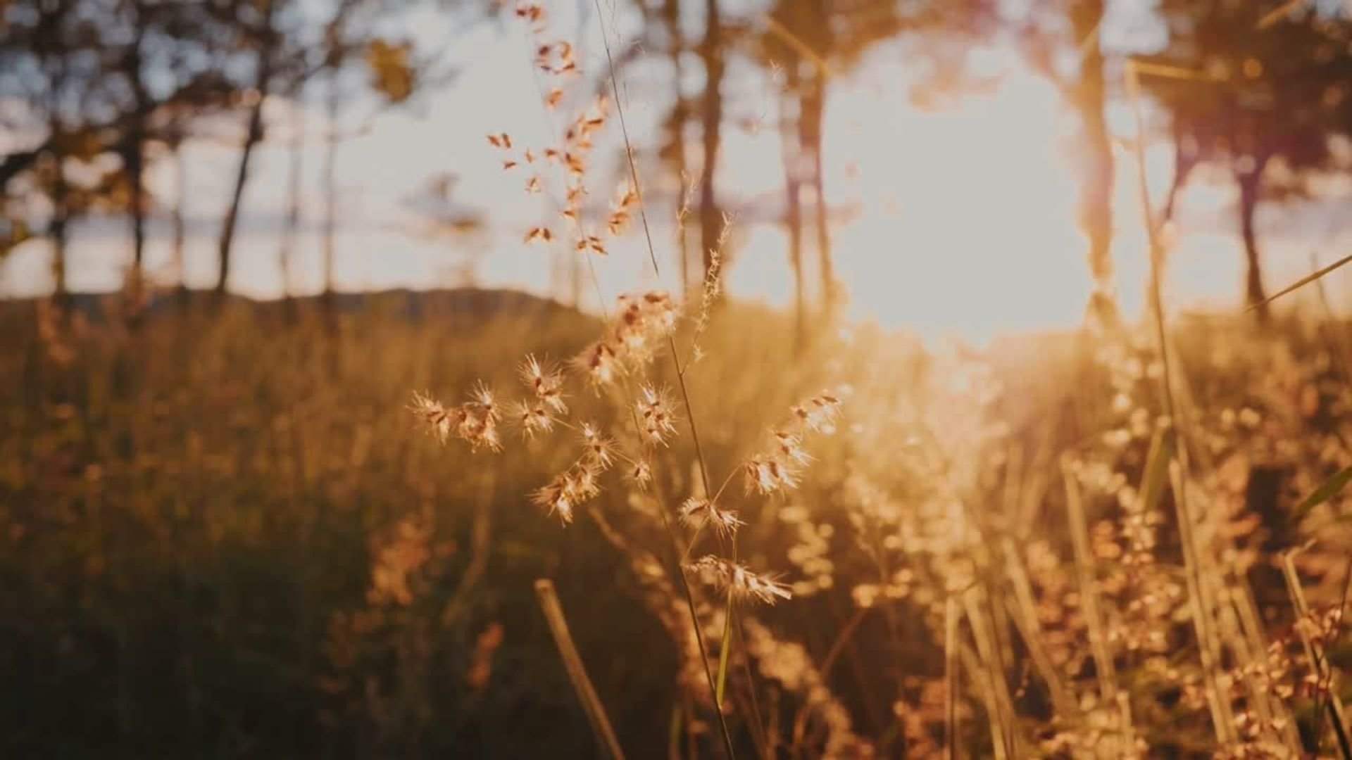 Kristina - Video 4.jpg