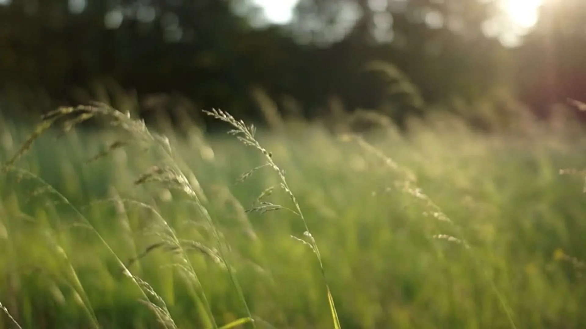 Kristina - Video 2.jpg