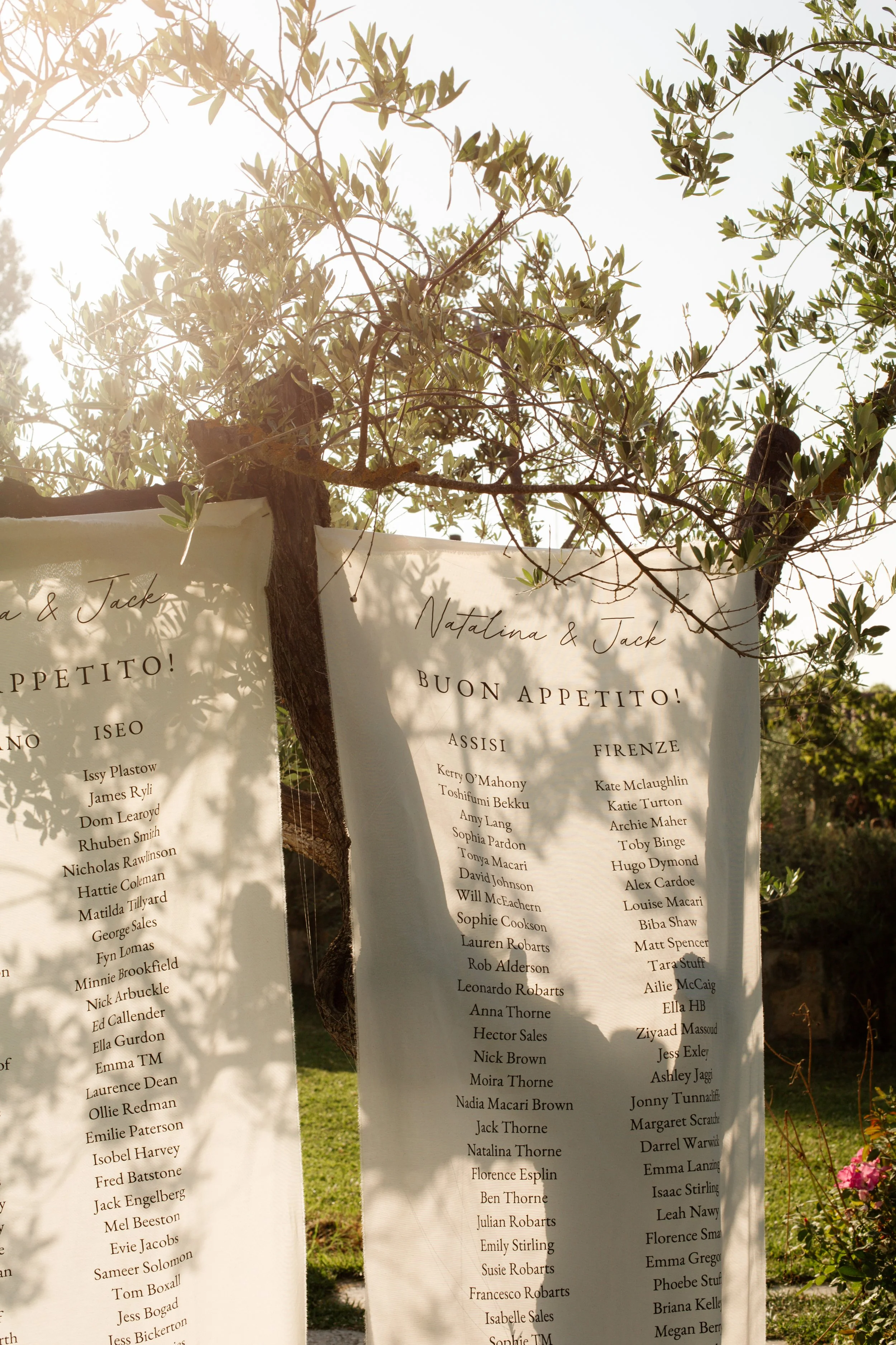 Liste di nomi di invitati su due pannelli appesi tra i rami di un albero con foglie verdi, al sole, durante un evento all'aperto.