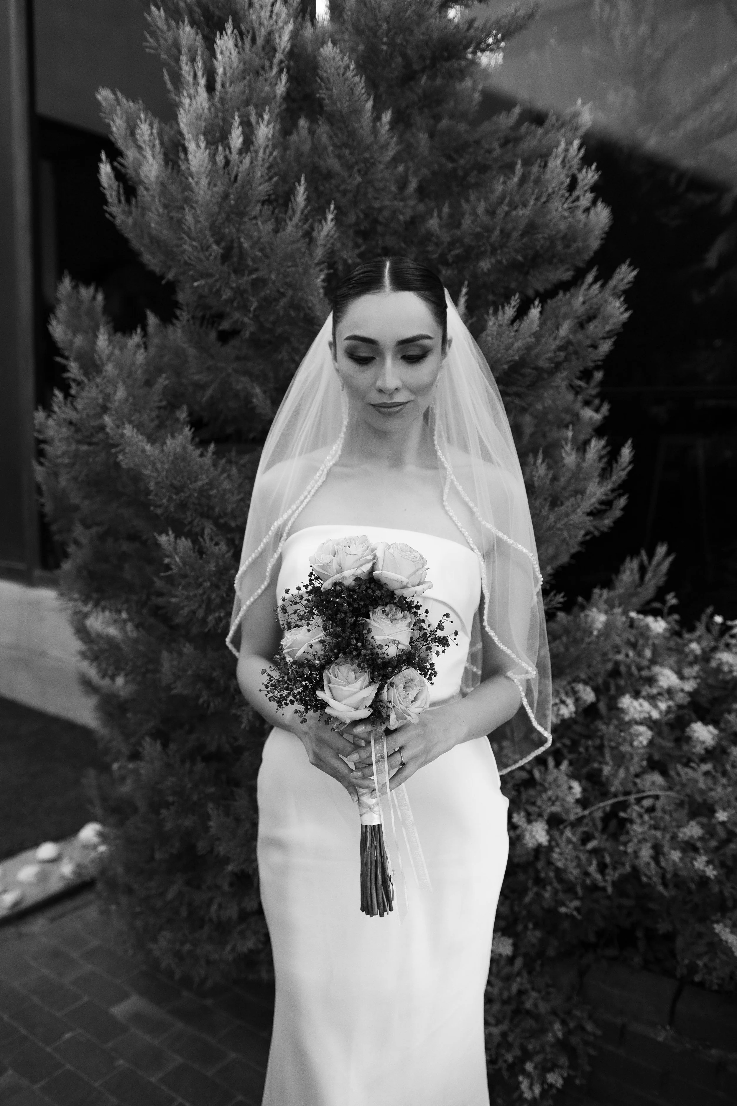 pexels-carlos-santiago-421908853-28666852 (1).jpg