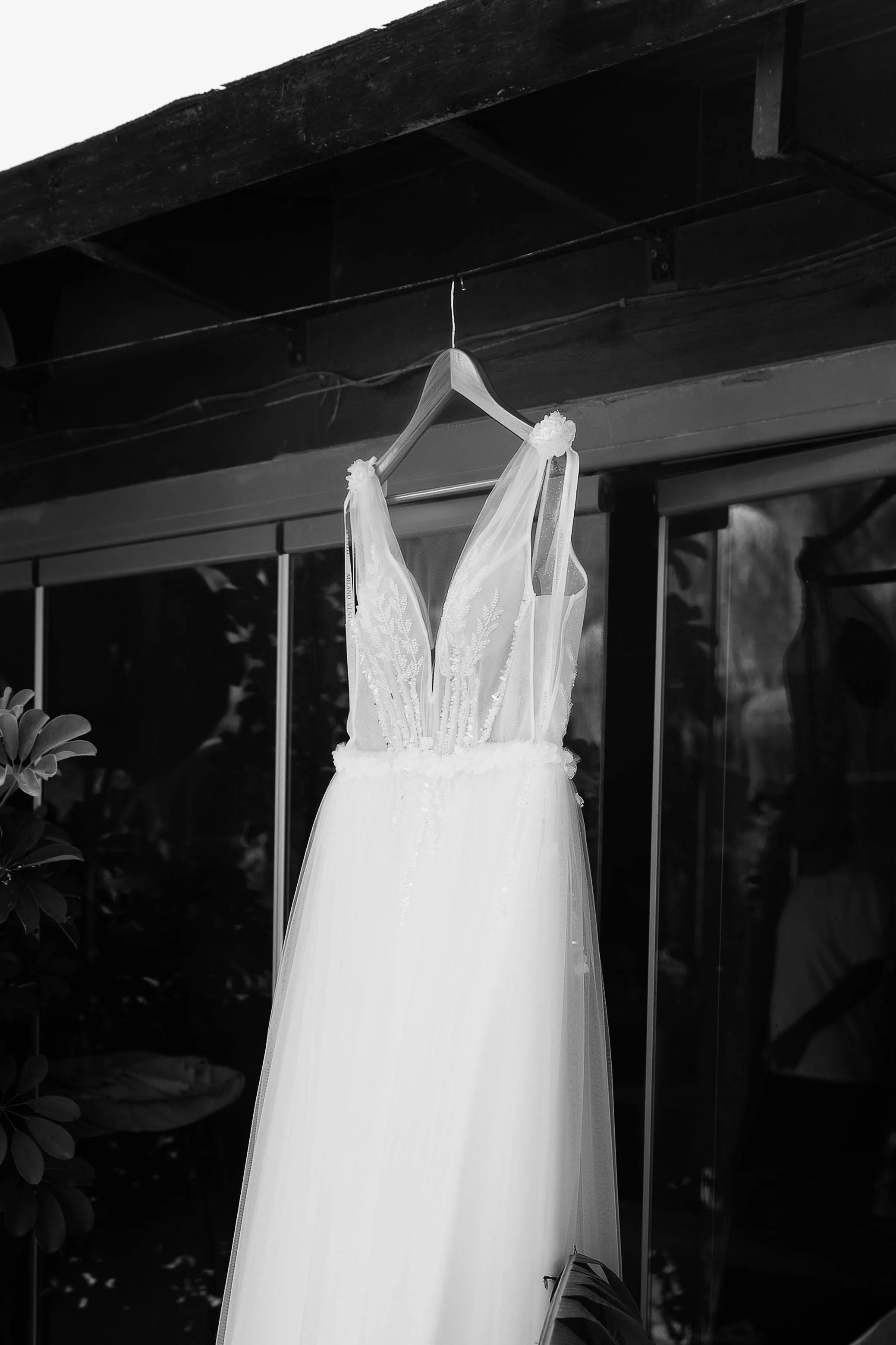 pexels-burak-27221337 (1).jpg