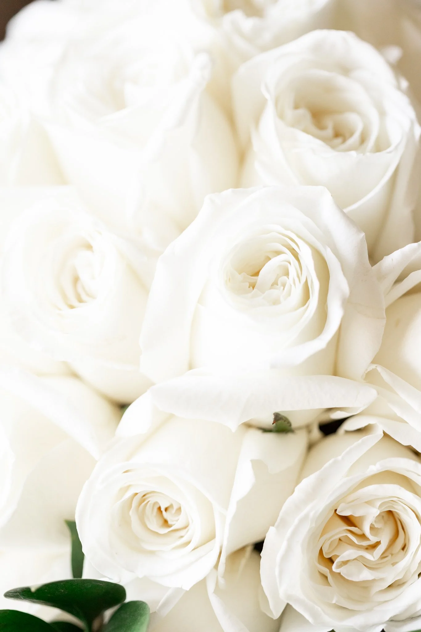 KH 2025 Portfolio -47.jpg