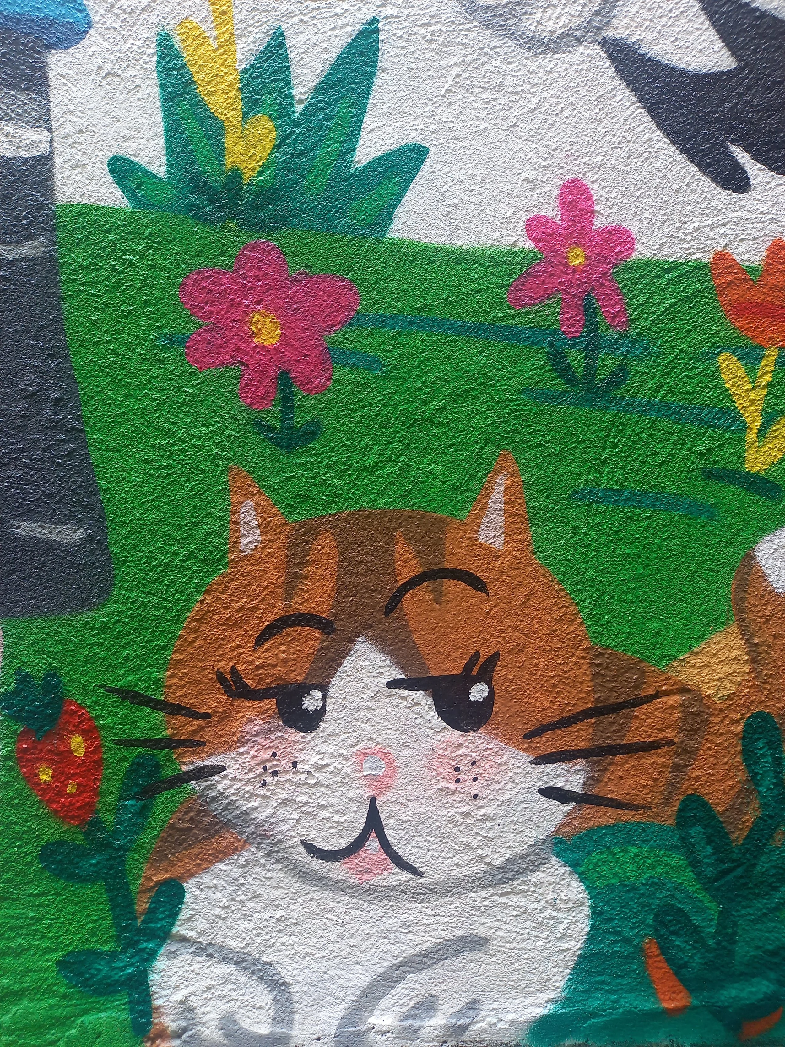 20250529_130842.jpg