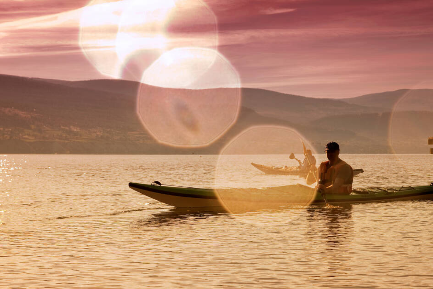 Constitution &amp; Bylaws 