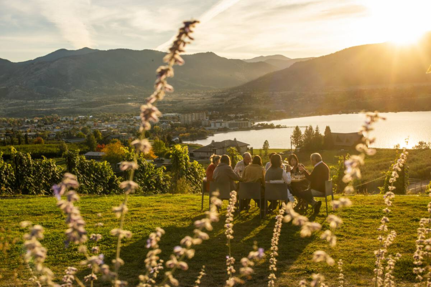 Become a TOTA Board Director