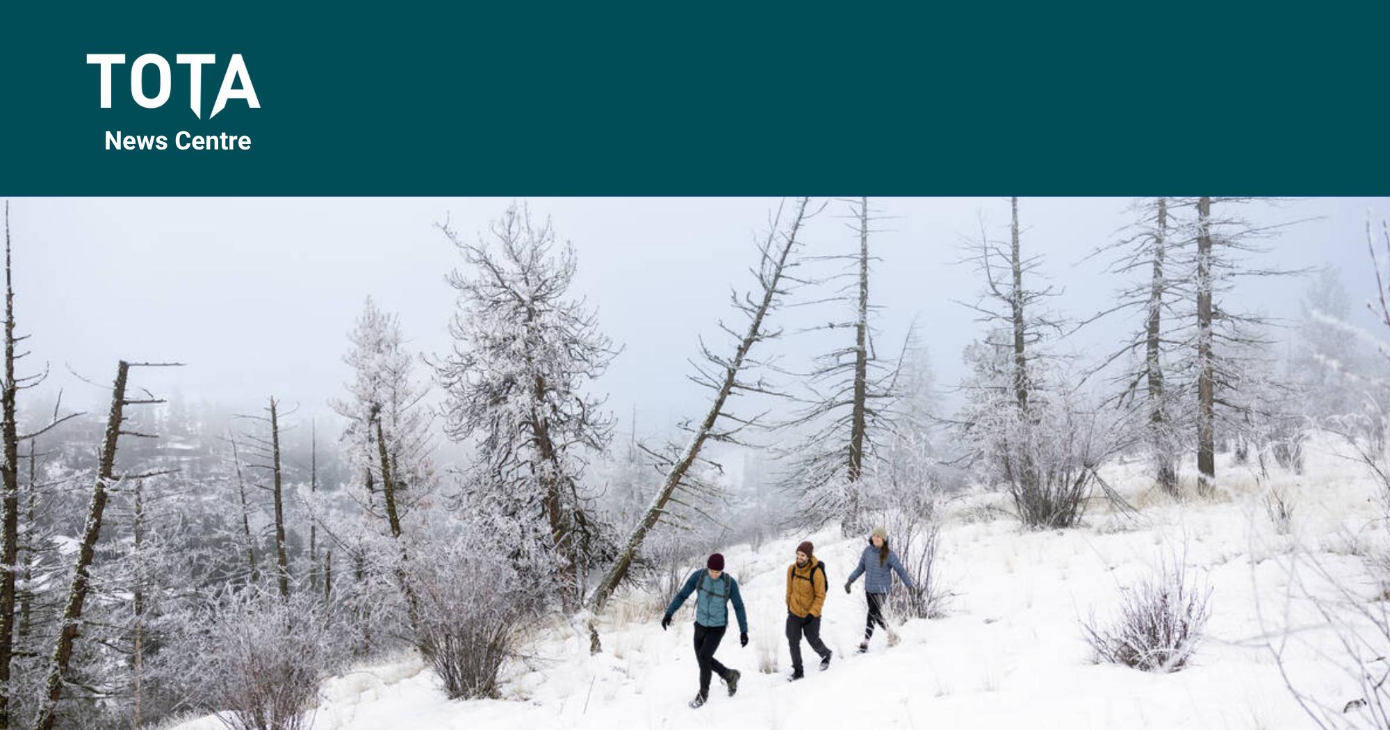 Destination BC Activity Research