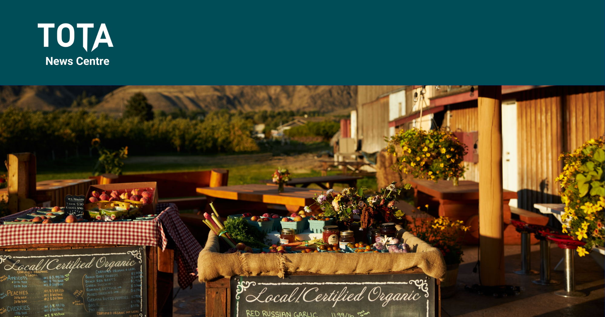 Buy BC Partnership Program is Now Open