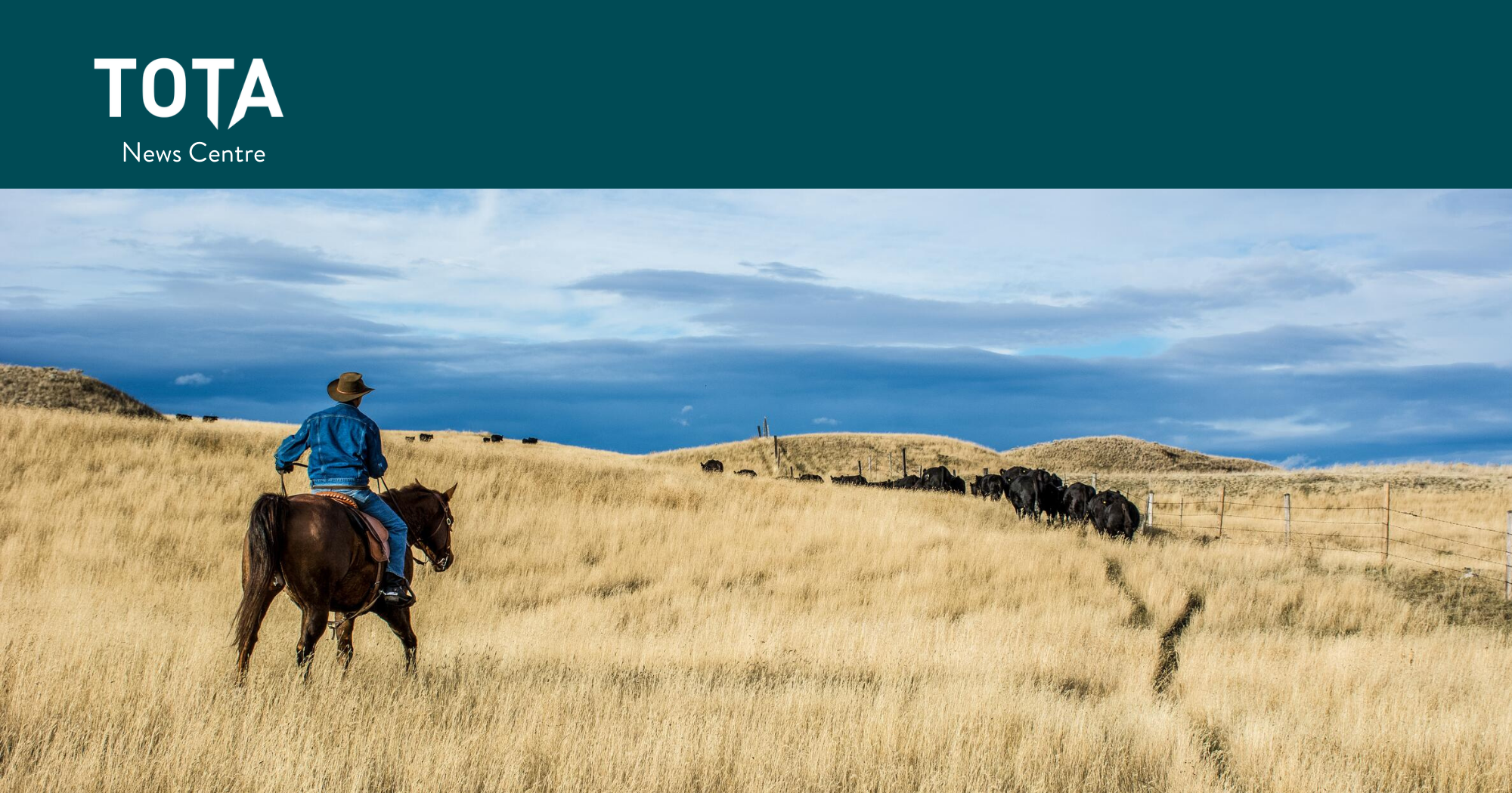 Destination BC Learning Centre - Experience Development: The Foundations of Experience Development