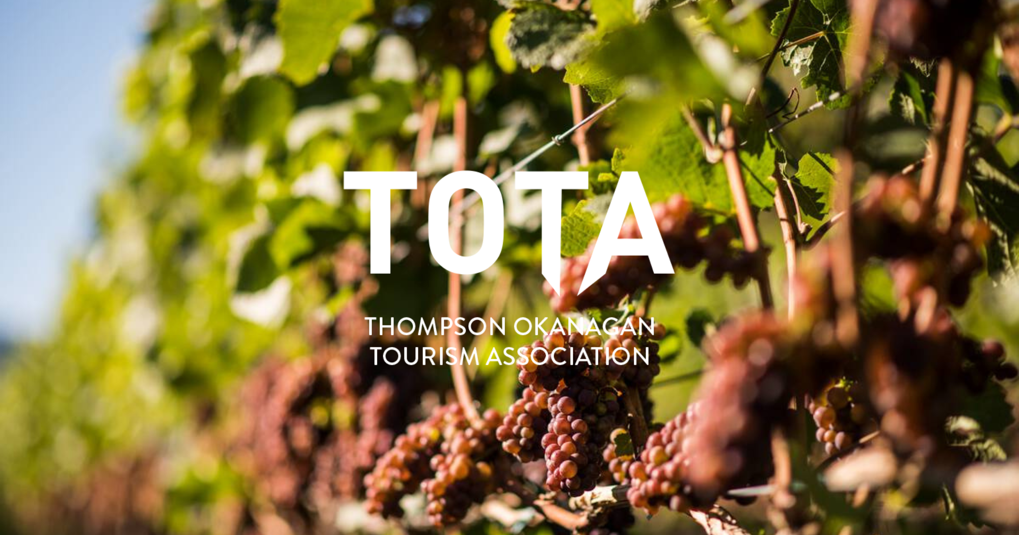 Thompson Okanagan Tourism Association Industry Newsletter - June 1, 2026 