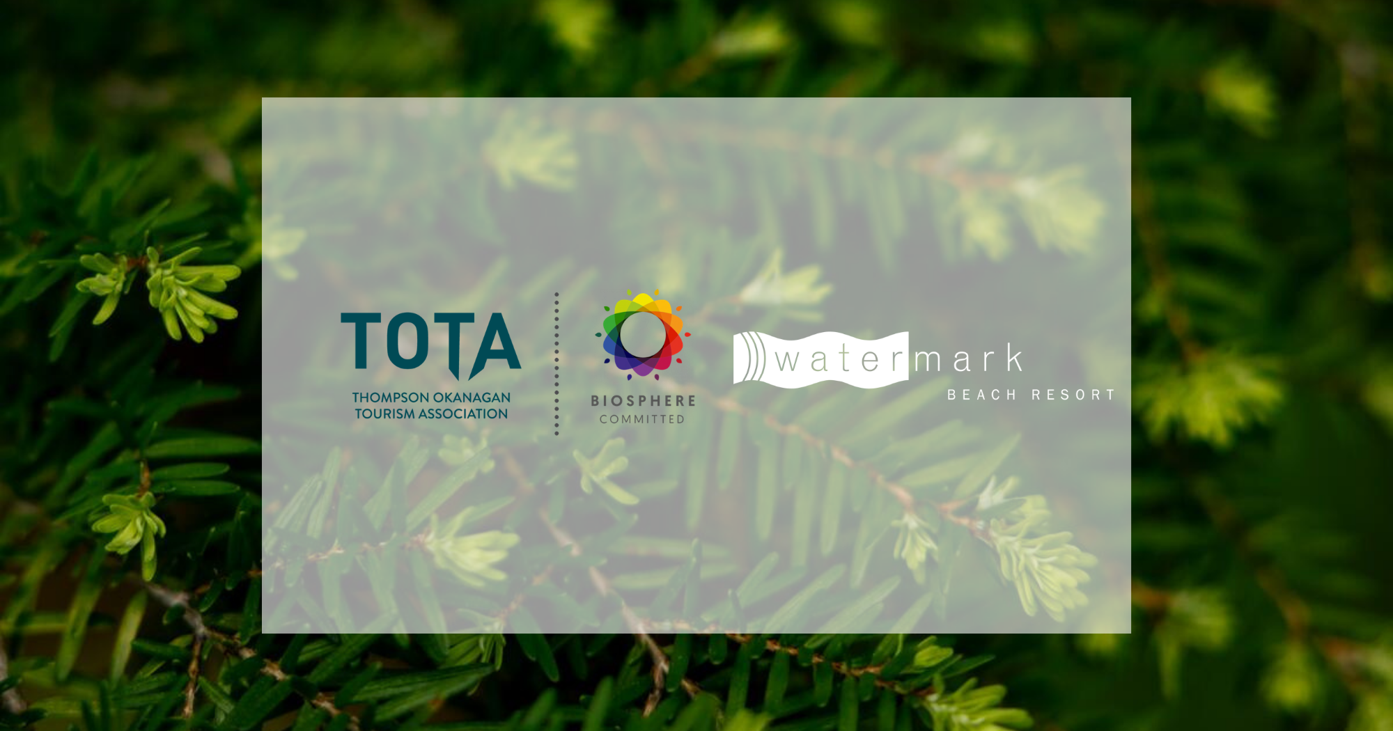 Biosphere Commitment Program Member - Watermark Beach Resort 