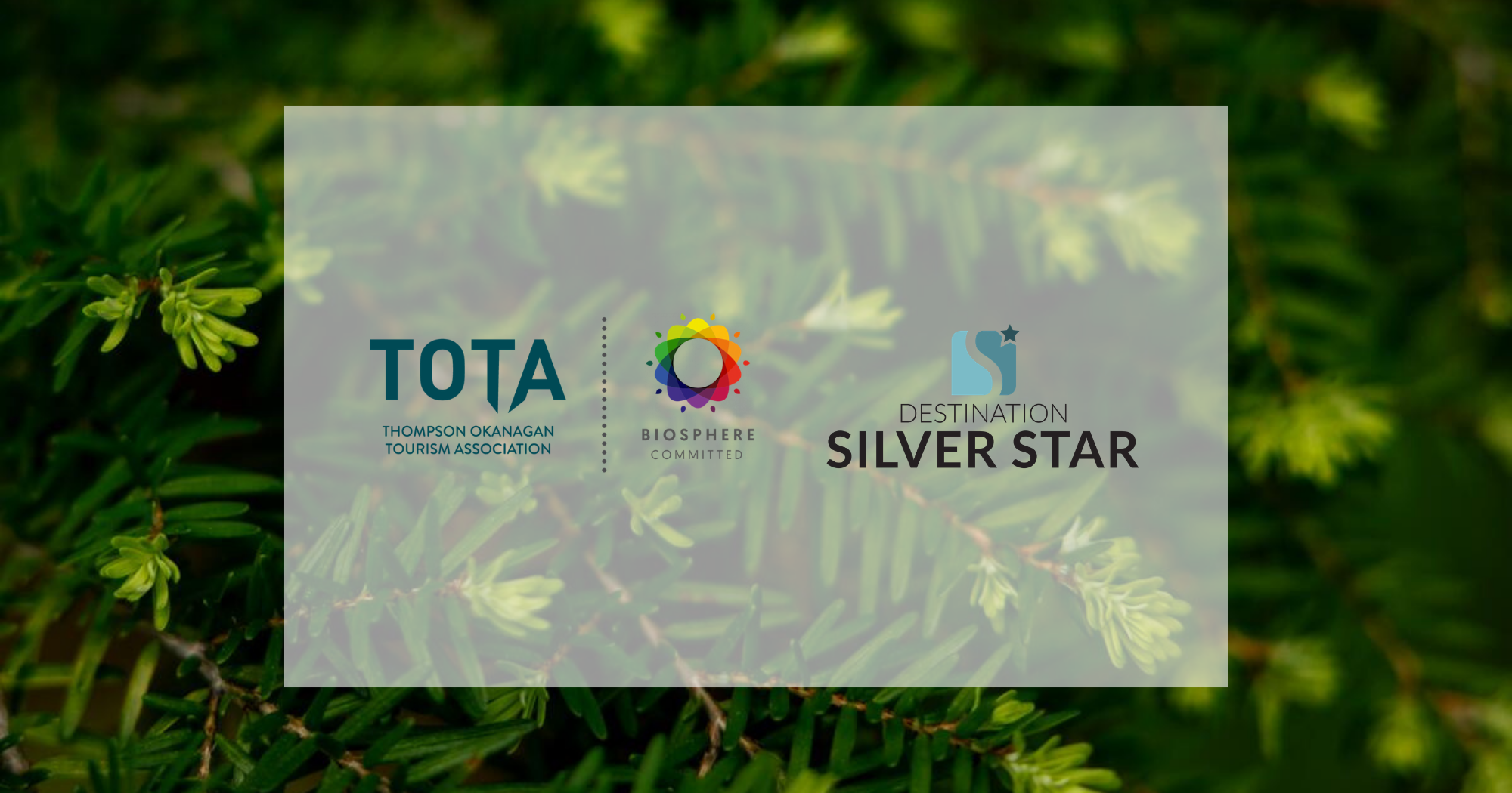 Biosphere Commitment Program Member - Destination Silver Star 