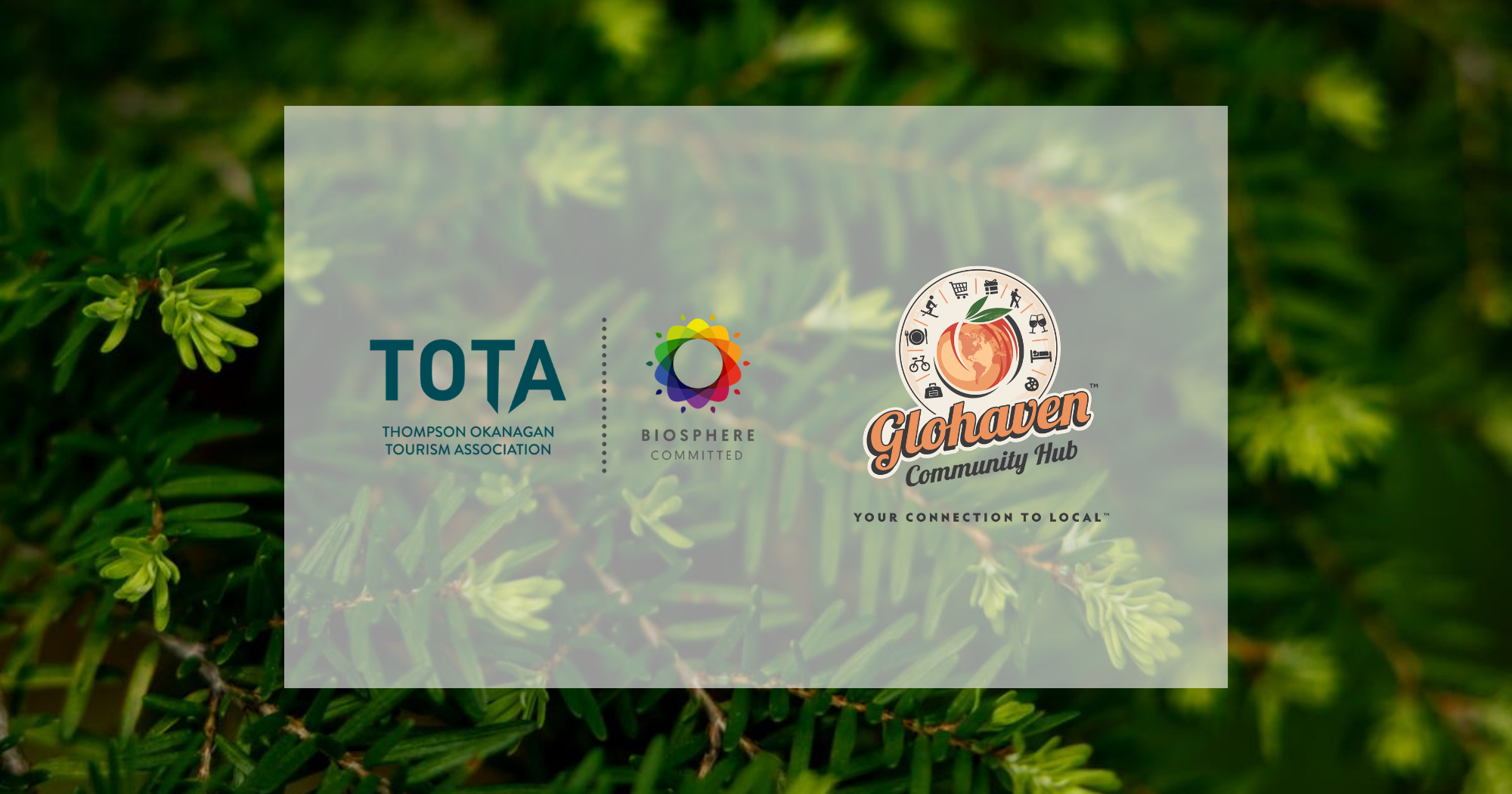 Biosphere Commitment Program Member - GloHaven Community Hub 
