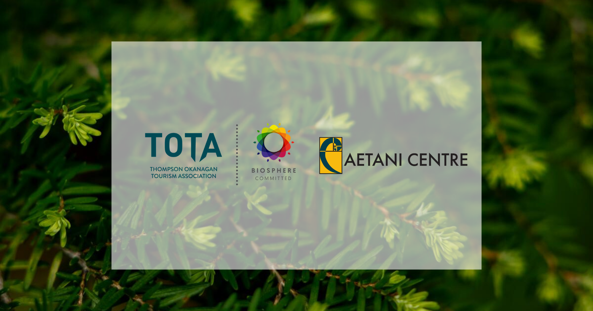 Biosphere Commitment Program Member - Caetani Centre 