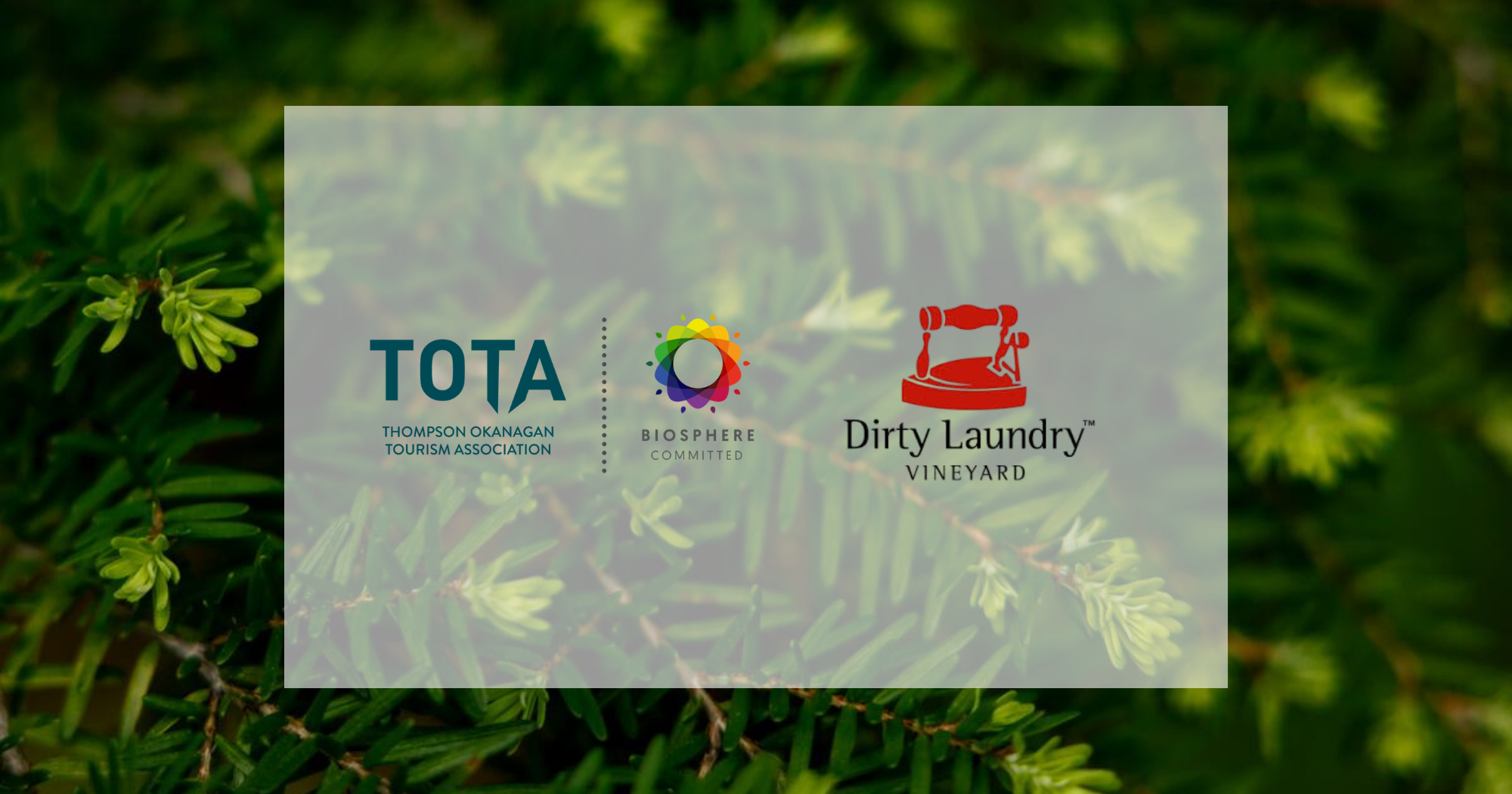 Biosphere Commitment Program Member - Dirty Laundry Winery