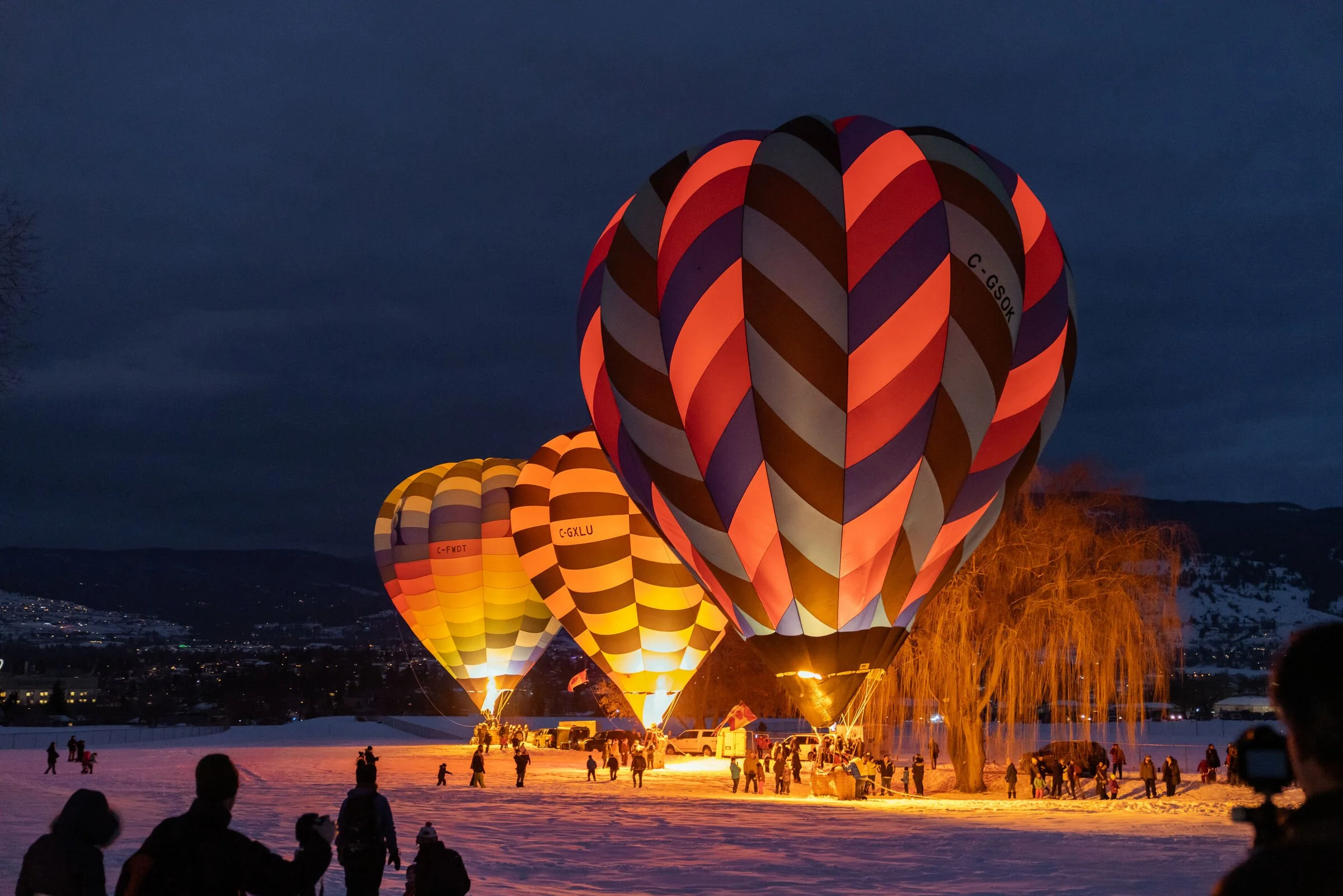 Nighttime scene with three hot air balloons glowing in the snow, surrounded by people and a large leafless tree, against a dark sky and distant mountains.