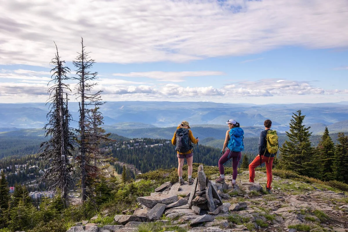Three hikers with backpacks standing on a rocky mountaintop, overlooking a forested valley and distant mountains under a partly cloudy sky.