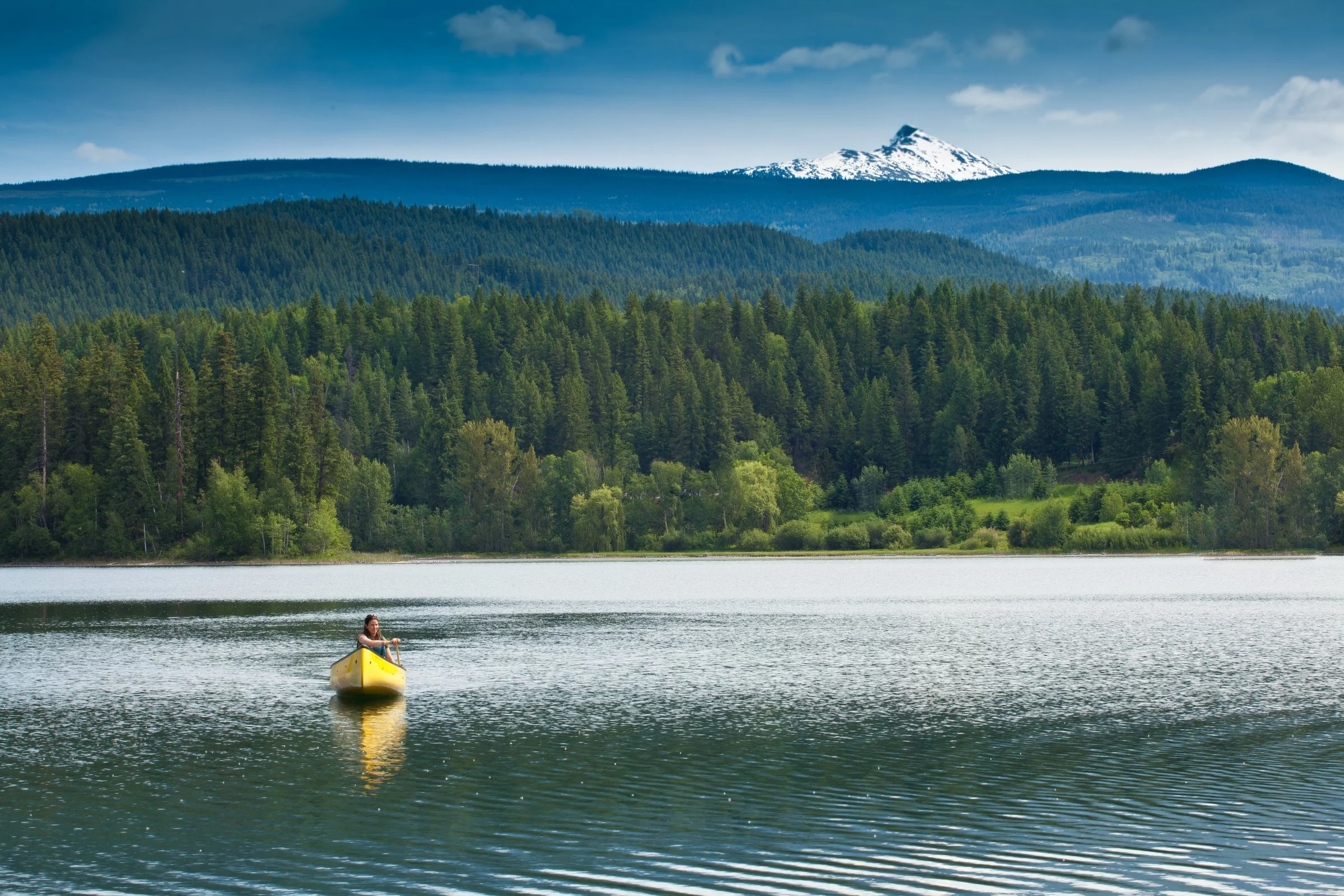A person in a yellow kayak on a lake surrounded by dense green forest with snow-capped mountains in the background.