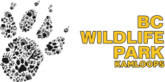 BC Wildlife Park