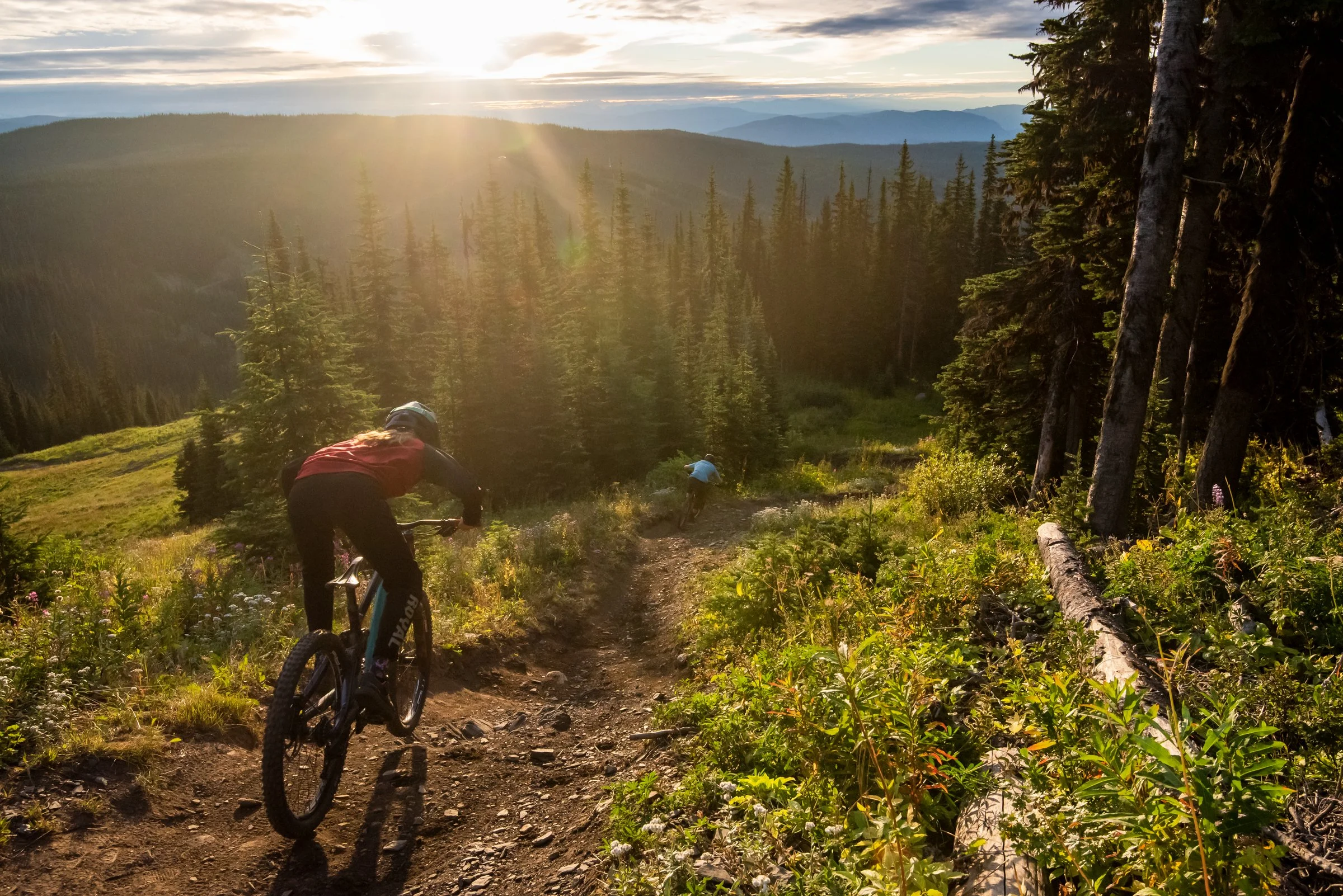 Two mountain bikers riding on a trail through a dense forest at sunset, with mountains in the background.