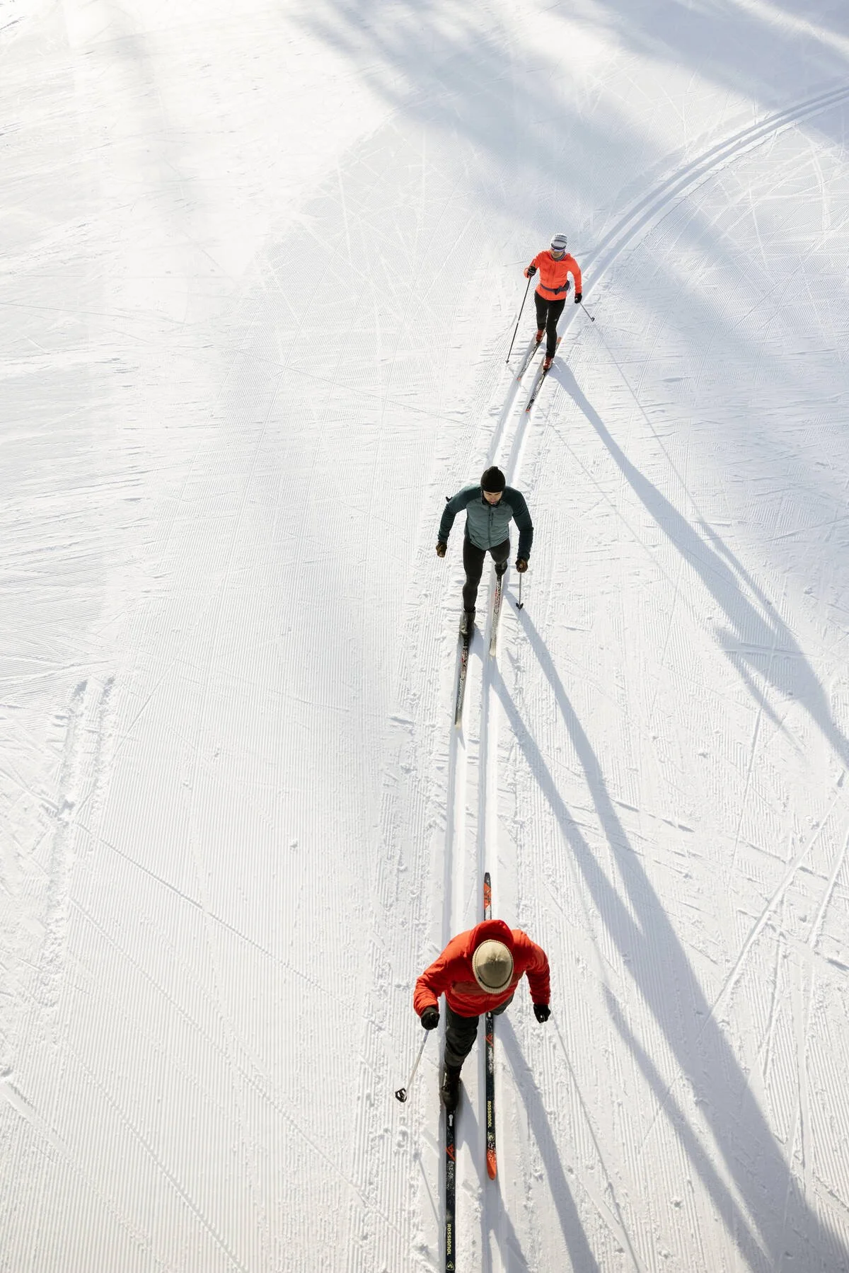 Three skiers in winter gear cross-country skiing on a snowy trail on a sunny day, creating shadows on the snow.