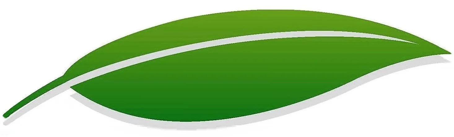 Logo Color Leaf  Only.jpg