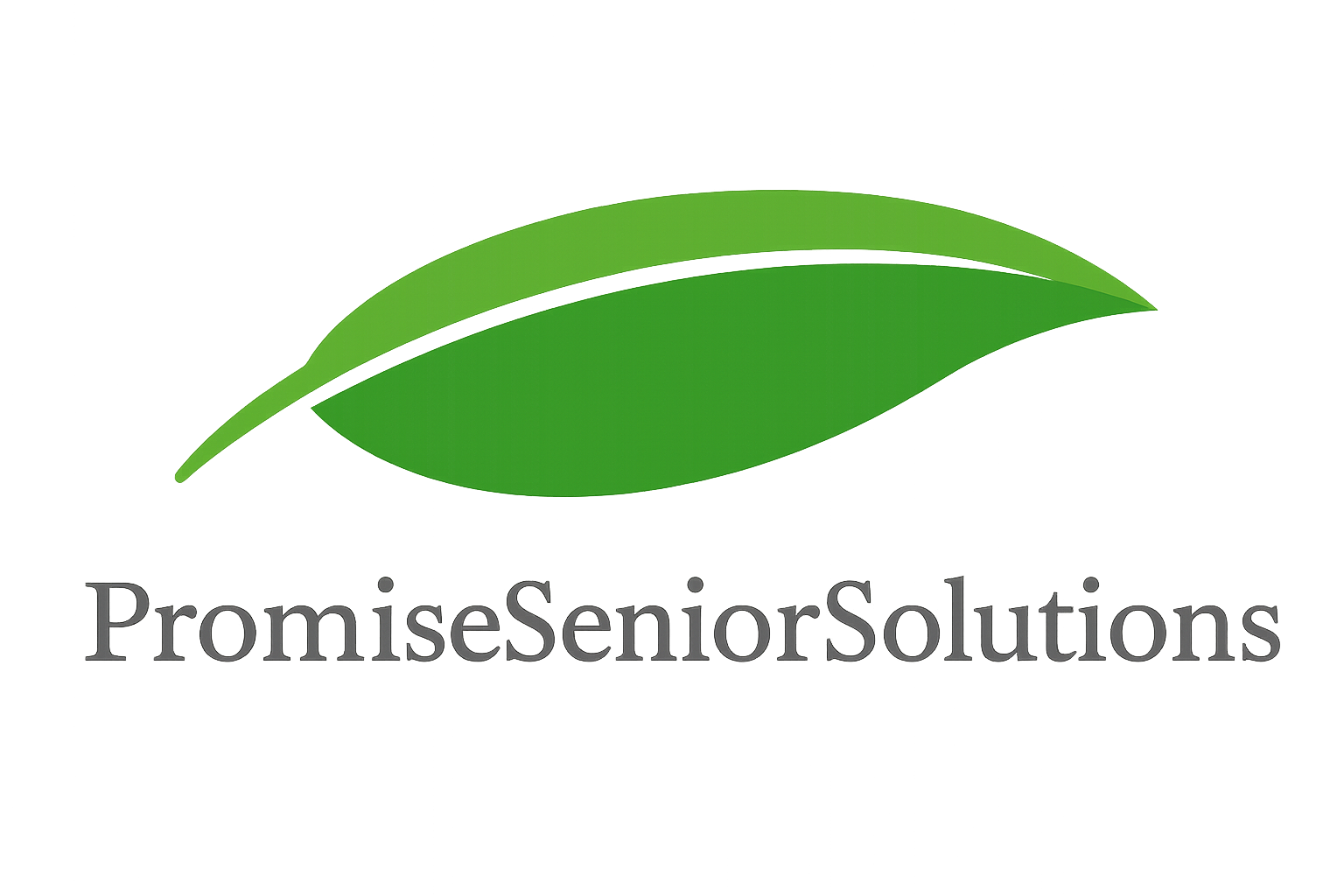Home Care Assistance | Senior Help | Promise Senior Solutions | Texas (Copy)
