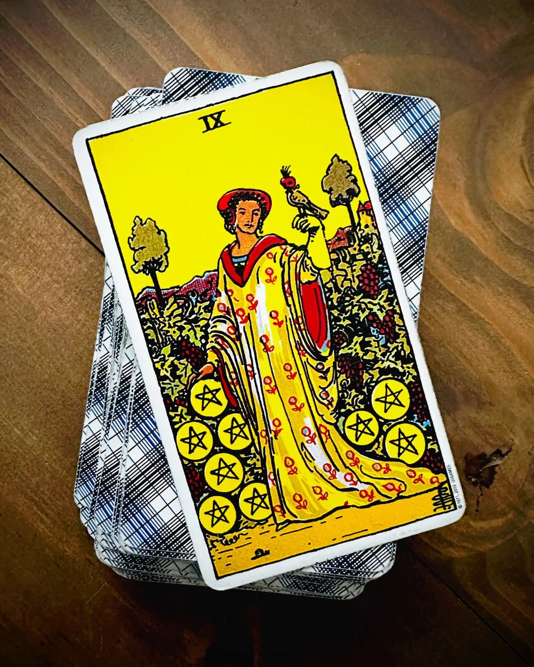 card pulls &amp; poetry: nine of pentacles
