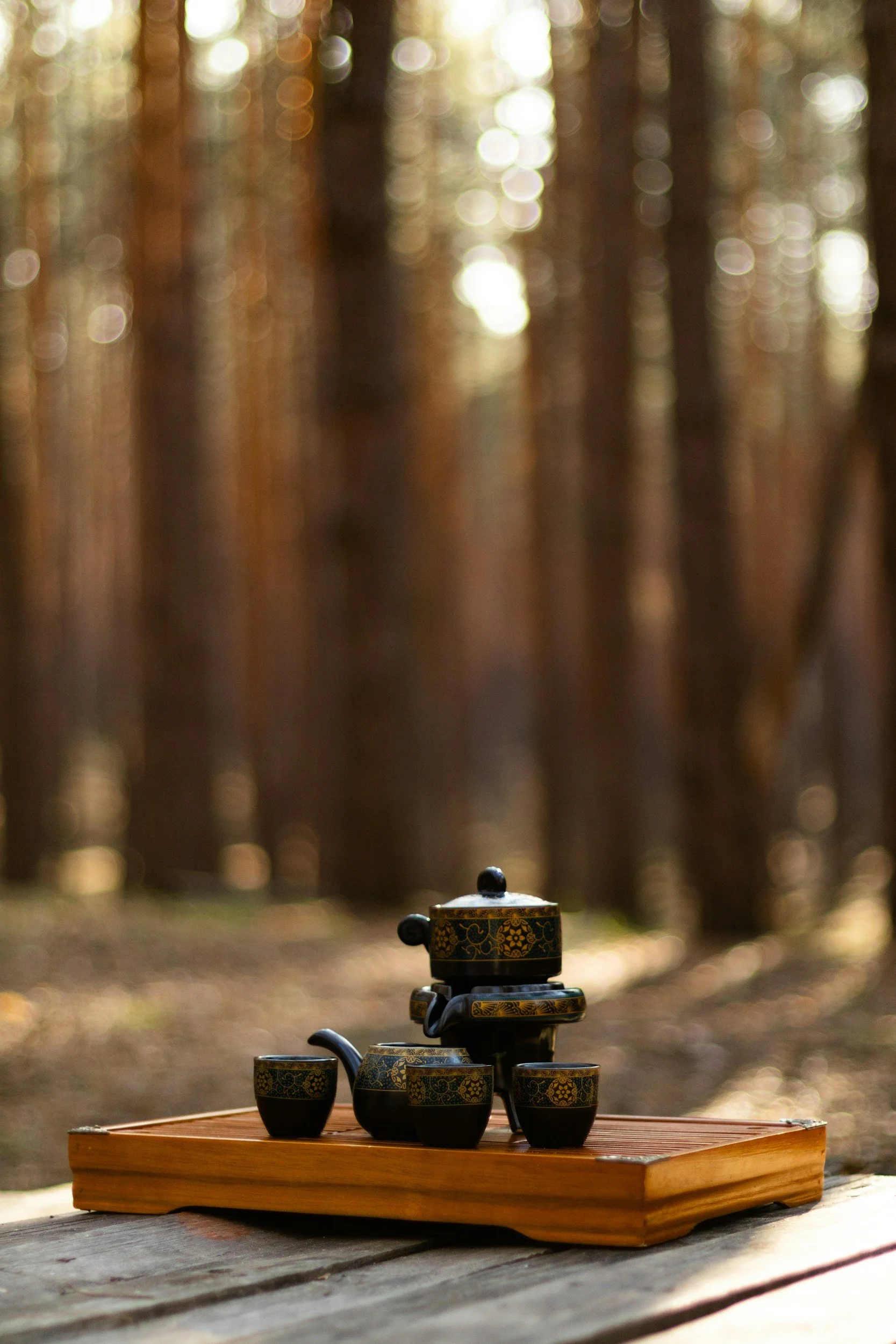 Traditional Japanese tea set on a wooden tray in a forest with blurred trees in the background.