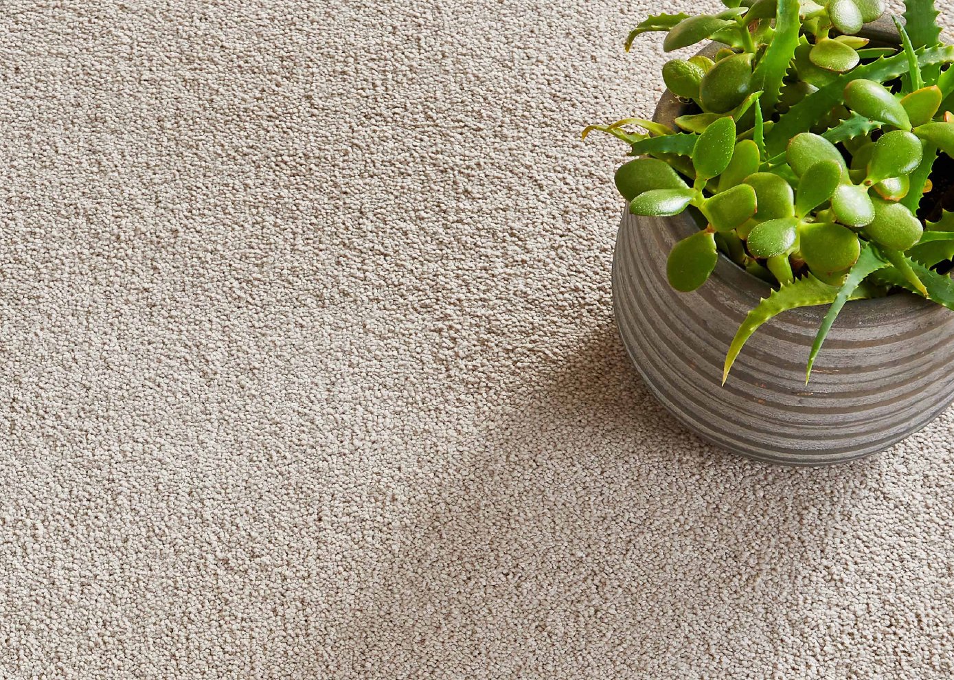 Polypropylene Carpet Suppliers and fitters in Surbiton