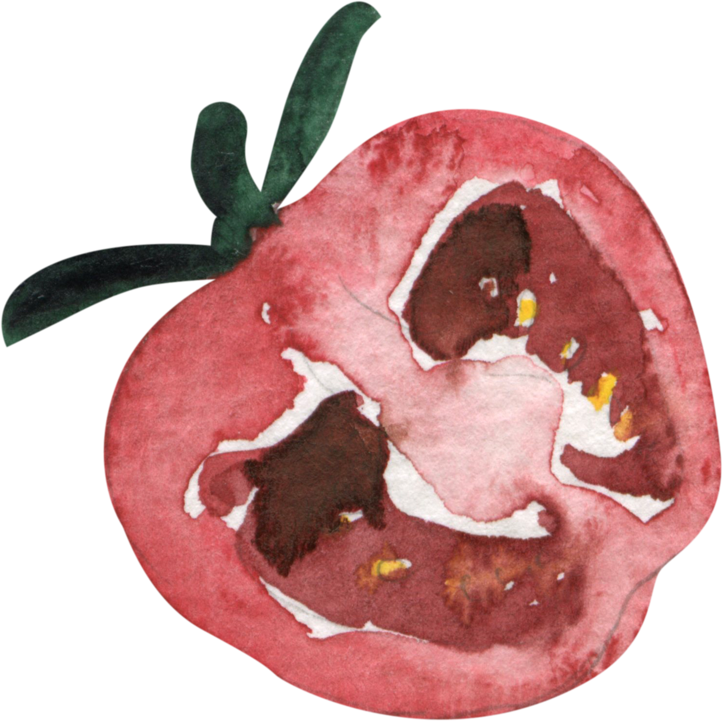 Close-up watercolor painting of a sliced tomato with green stem attached.