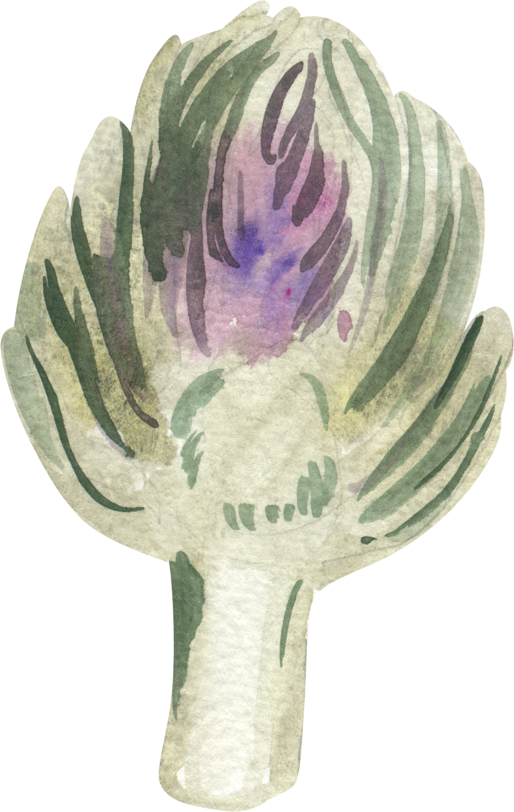 Watercolor illustration of an artichoke with purple accents.
