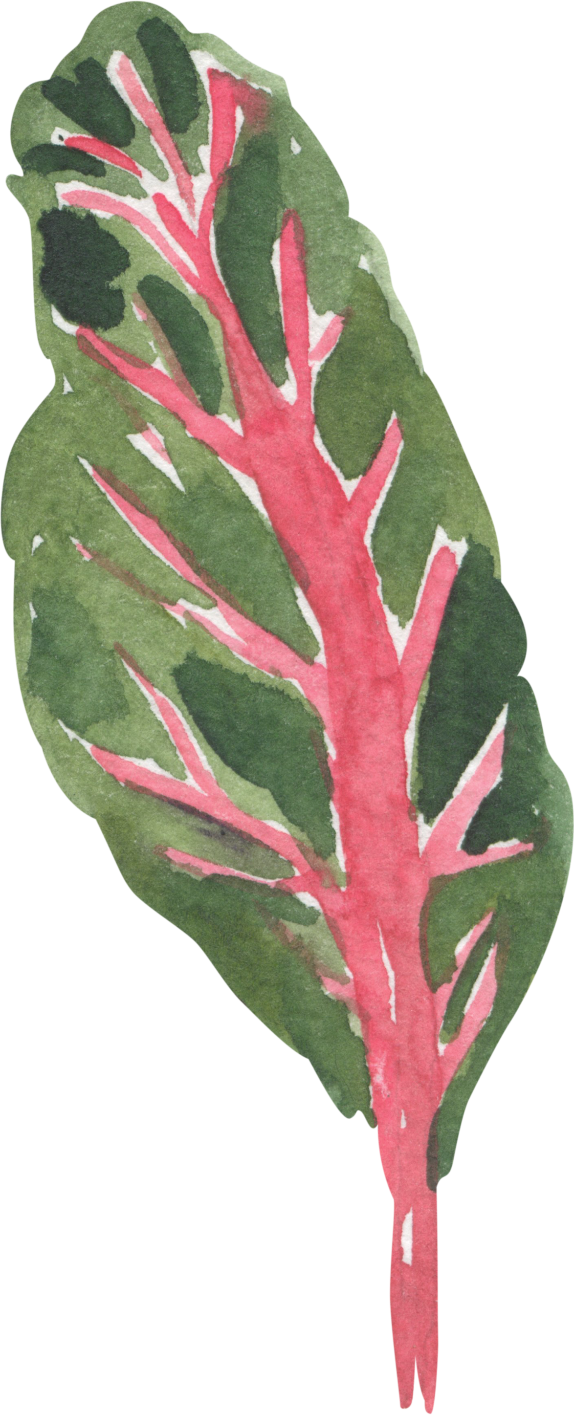 A watercolor painting of a large green leaf with pink veins and a pink stem.