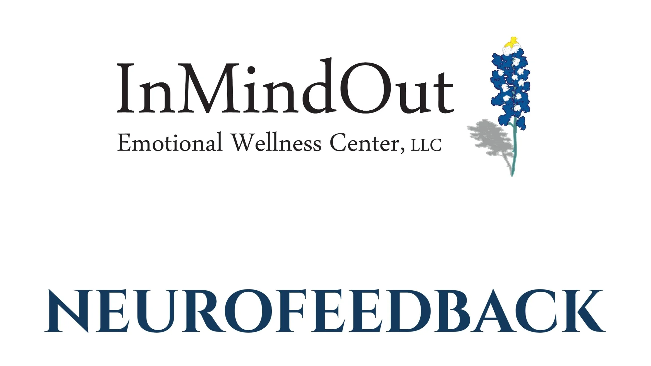 InMindOut Neurofeedback Training Program