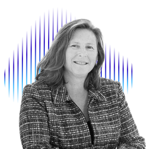 Modern houses on a hillside with snow-capped mountains in the background under an overcast sky.