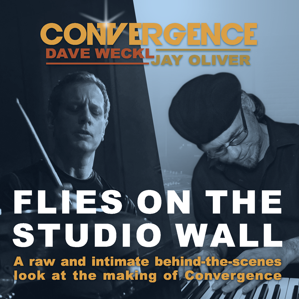Flies On The Studio Wall (DVD)