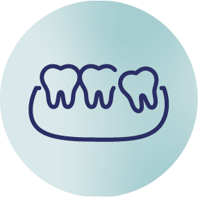 Illustration of dental teeth on a light background.