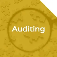 Auditing