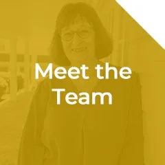 Meet the Team