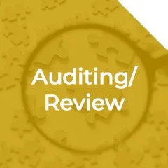 Auditing / Review