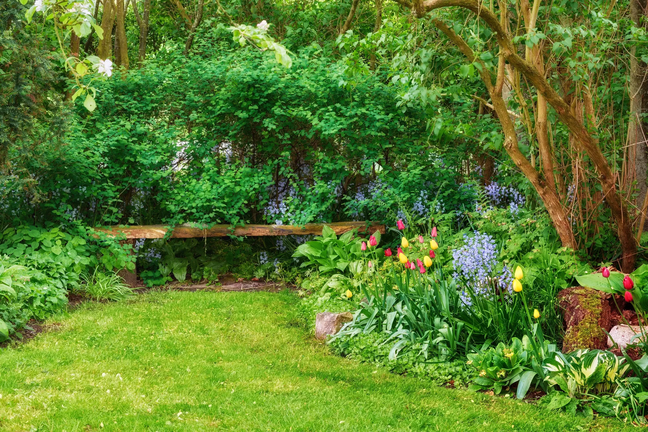 Why Spring Is the Best Time to Plan a Landscape Project
