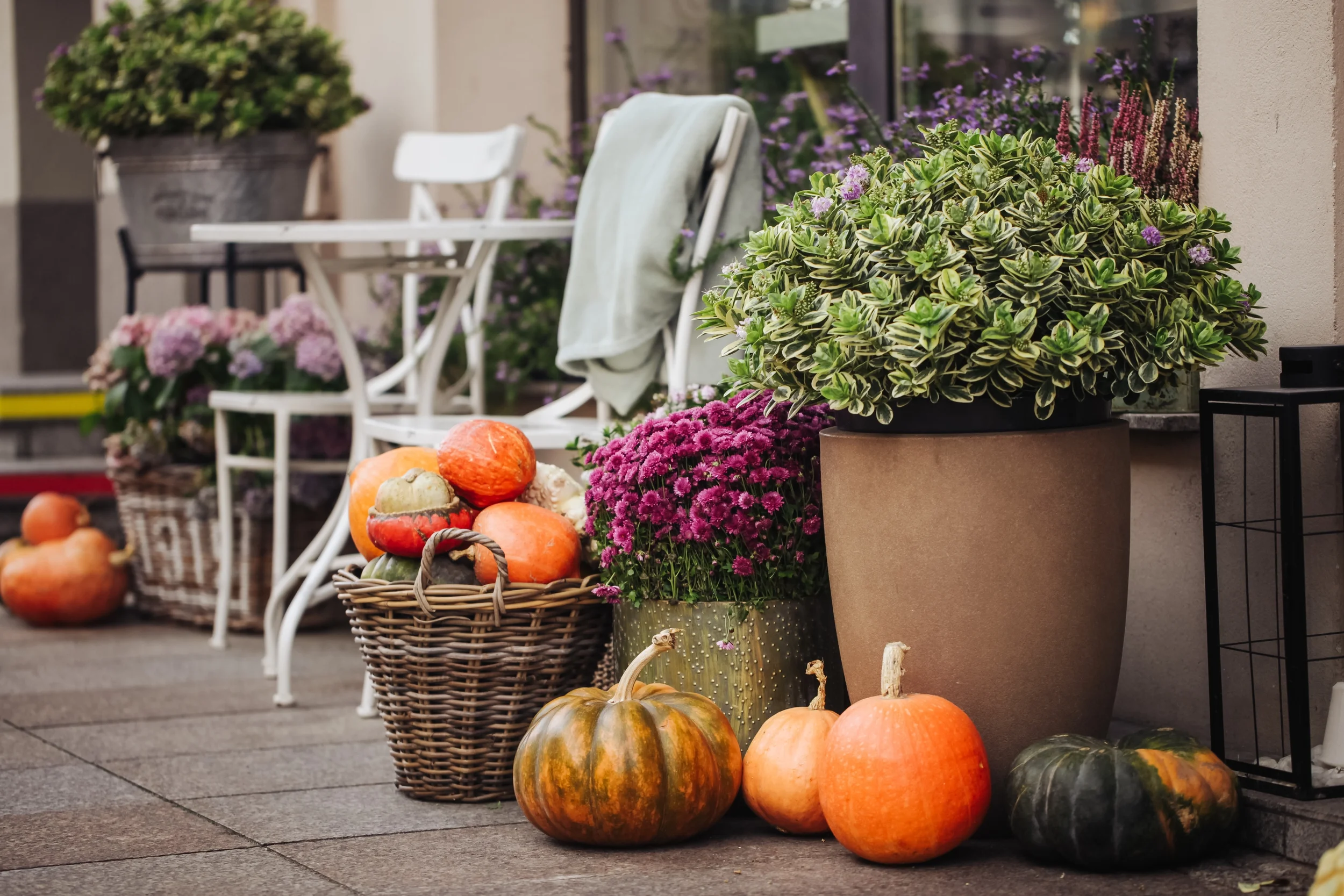 Pumpkins and potted flowers on a porch with a white chair and garden decor.