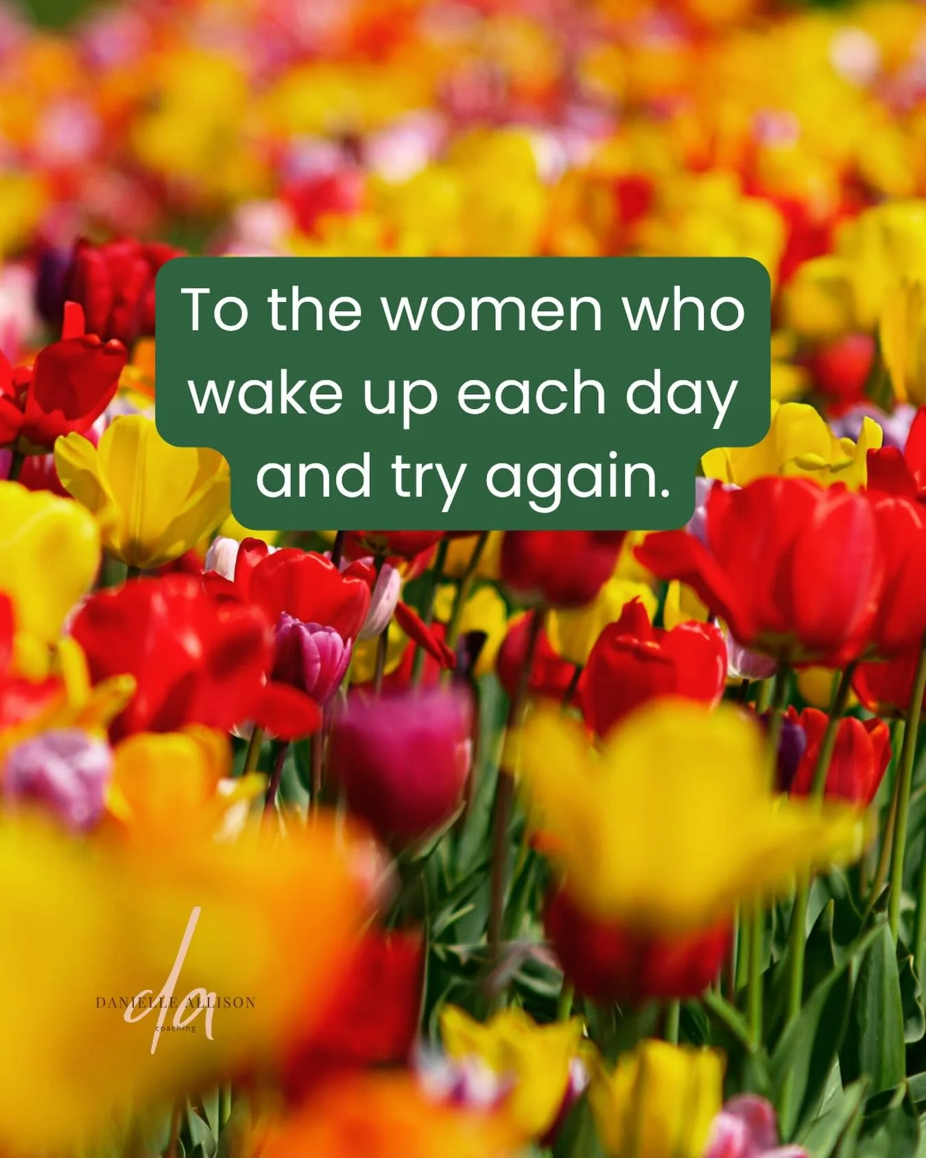 To the women who wake up each day and try again &mdash; 

After negative tests
After difficult appointments
After losses no one else saw
After another change in the plan
After another two week wait

Trying again takes more strength than most people r