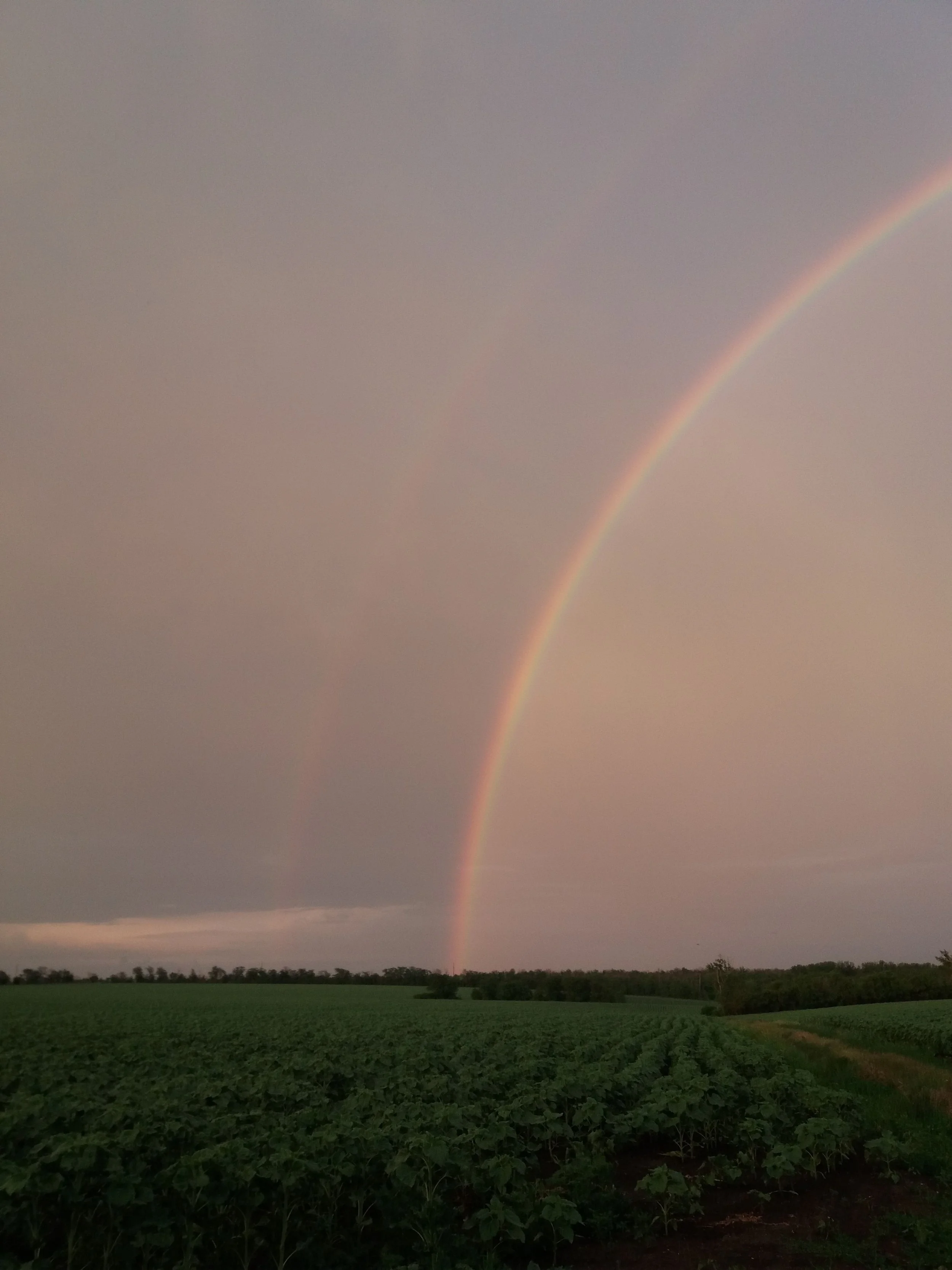 How to Find an LGBTQ+ Affirming Therapist in Vancouver