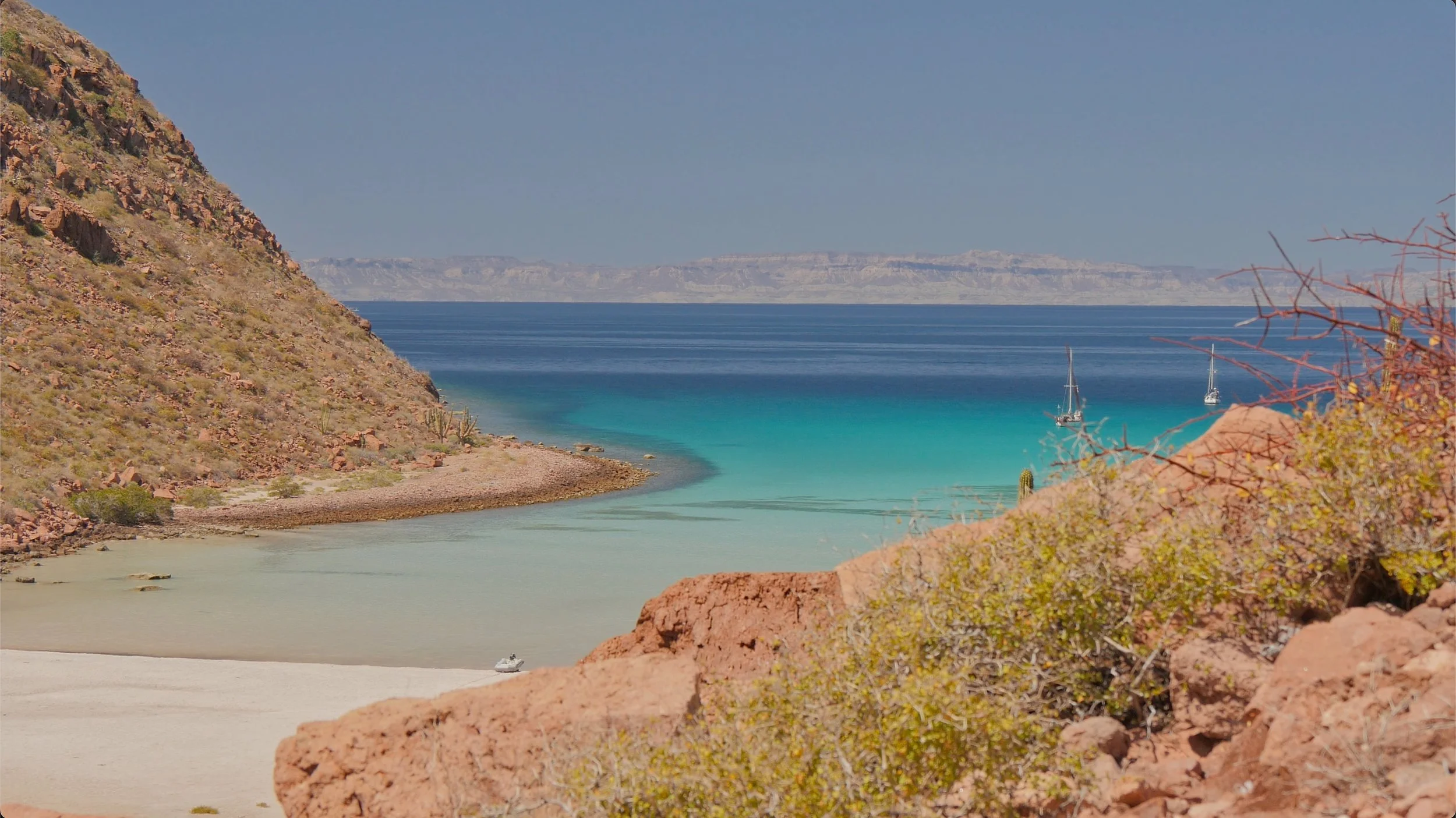 Screenshot 2026-02-10 at 7.33.46 PM.jpeg