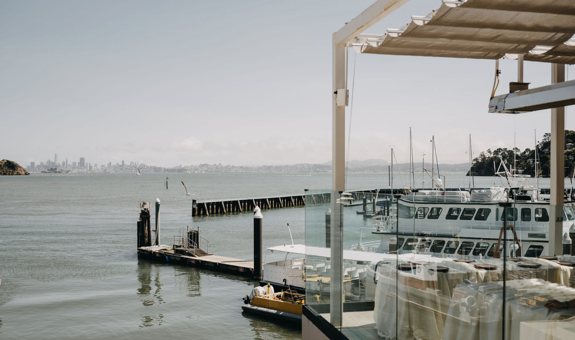 Malibu Farm-Tiburon-2025.png